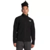 Men's The North Face Apex Bionic Jacket -The North Face Shop 19411569612