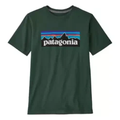 Kids' Patagonia Regen P6 Logo T-Shirt