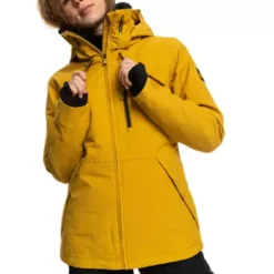 Women's Roxy Presence Insulated Snow Jacket