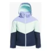 Girls' Roxy Whist Insulated Snow Jacket -The North Face Shop 19571841142