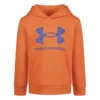 Toddler Boys' Under Armour Fleece Big Logo Hoodie -The North Face Shop 19595878076