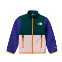 Toddler The North Face Denali Jacket