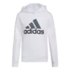Boys' Adidas Graphic Fleece Hoodie 2 Boys' Adidas Graphic Fleece Hoodie -The North Face Shop 19621904624