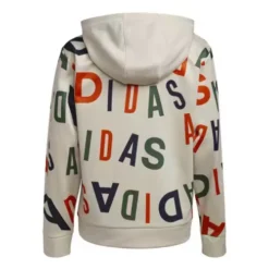 Boys' Adidas Lineage Love Hoodie -The North Face Shop 19621933802 1