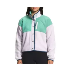 Women's The North Face Cragmont Fleece Jacket