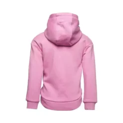 Toddler Girls' Nike Fleece Hoodie -The North Face Shop 82566432094 2