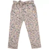 Toddler Girls' Nano Lightweight Floral Tie Waist Pants -The North Face Shop 82996841427